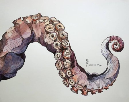 Щупальца осьминога