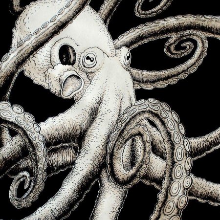 Осьминог кракен