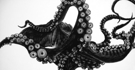 Осьминог щупальца