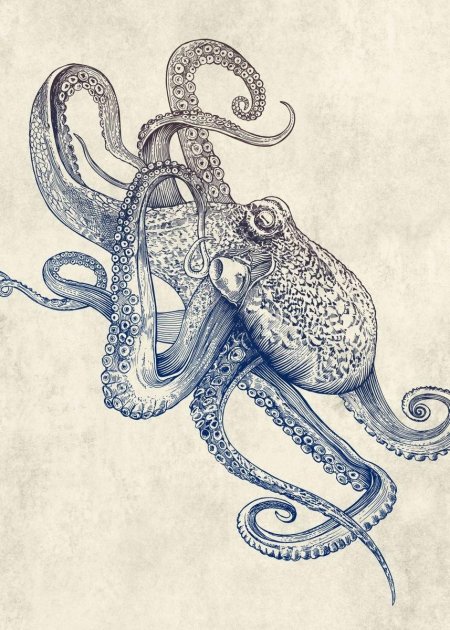 Осьминог кракен