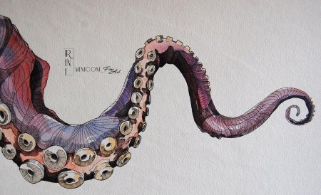 Щупальца осьминога арт