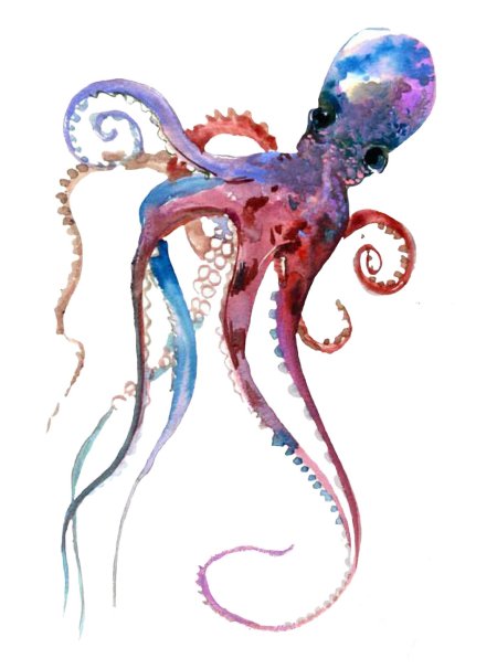 Осьминоги рисунок
