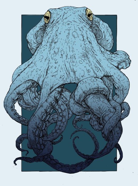 Осьминог иллюстрация