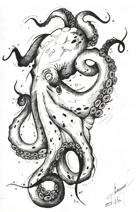 Осьминог тату эскиз
