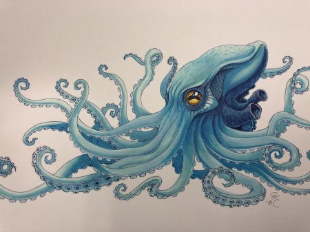 Кракен осьминог кракен осьминог