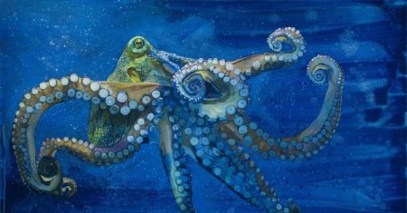 Осьминог картина