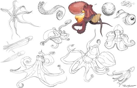 Щупальца осьминога референс