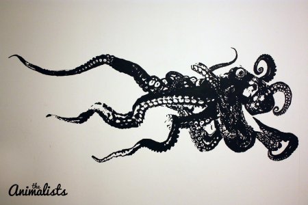 Спрут осьминог