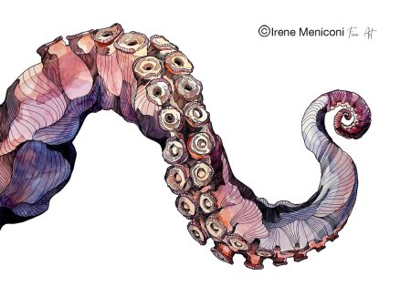 Щупальца осьминога