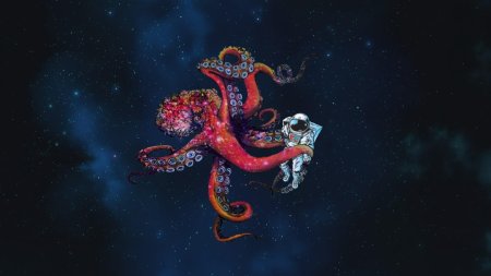 Космический осьминог