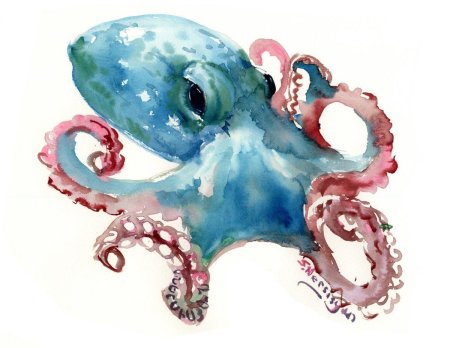 Осьминог акварель