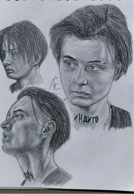 Лиза андрющенко рисунок