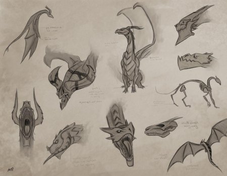 Референс дракона сбоку