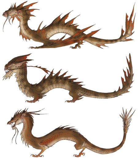 Китайский дракон референс