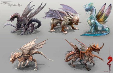 Концепты драконов