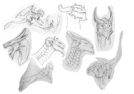 Драконы референсы анатомия