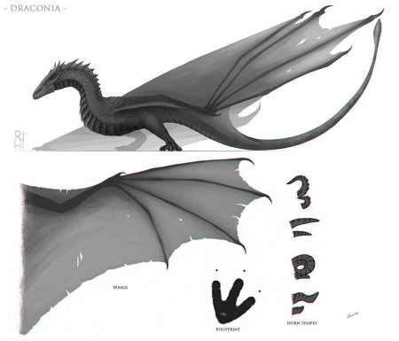 Дракон виверн