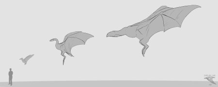 Дракон виверн референс