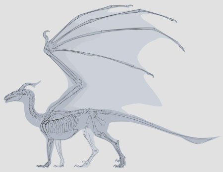 Референс дракона сбоку