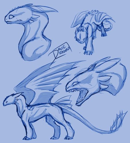 Анатомия ночной фурии