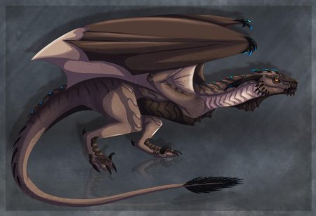 Дракон виверн