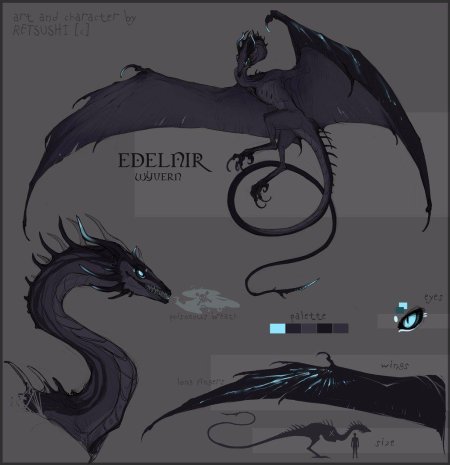 Дракон виверн референс