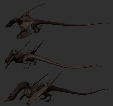 Анатомия виверны