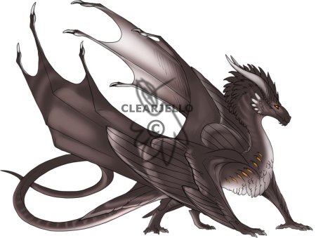 Драконы виверны адопты