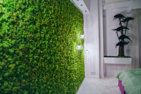 Стабилизированный мох в интерьере