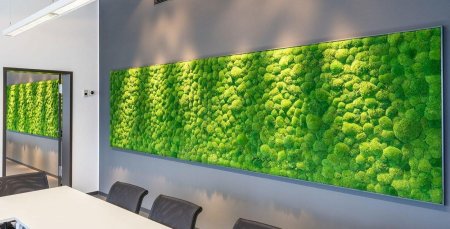 Фитостена из стабилизированного мха