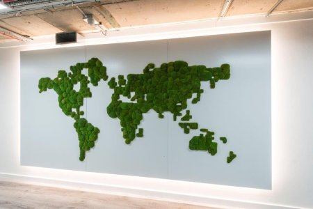 Карта мира из стабилизированного мха