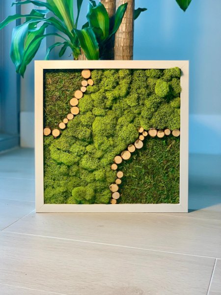 Фитокартины из стабилизированного мха