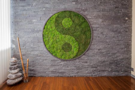 Инь янь из стабилизированного мха