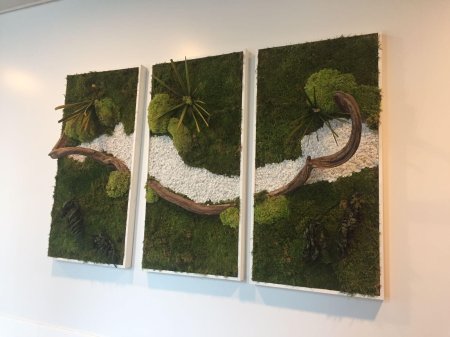 Фитокартина из стабилизированного мха