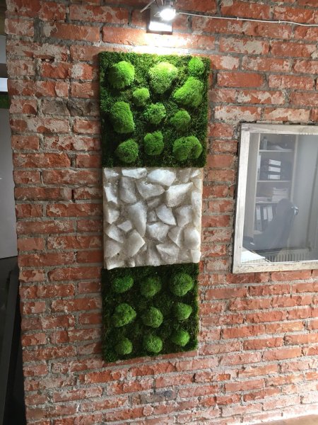 Moss green / мох стабилизированный