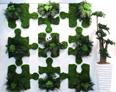 Фитостена плющ