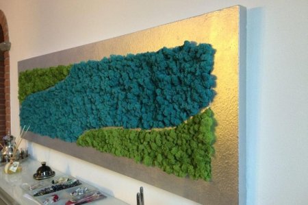 Фитокартина из стабилизированного мха