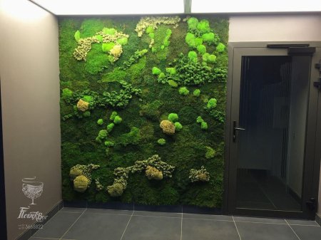 Фитостена из стабилизированного мха и растений