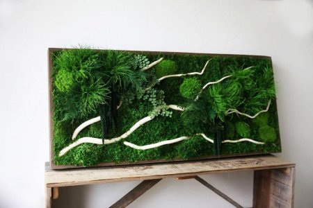 Панно из стабилизированного мха и папоротника