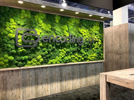 Мох ягель фитостена