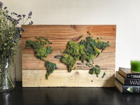 Стабилизированный мох карта мира