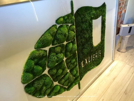 Фитостена из стабилизированного мха