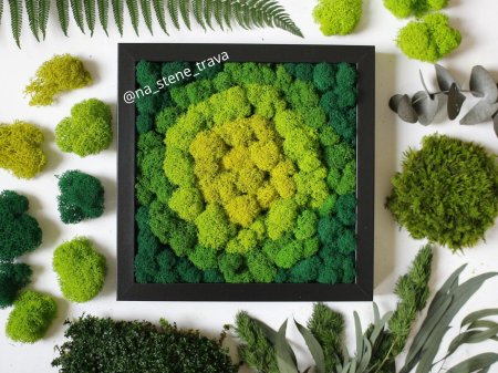 Стабилизированный мох панно