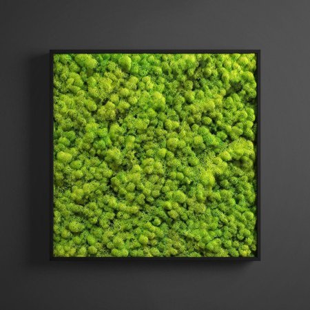 Фитостена 3д