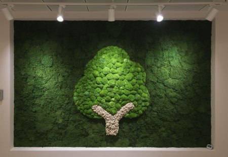 Фитостена из стабилизированного мха