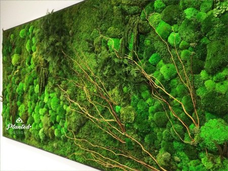 Стабилизированный мох панно