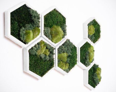 Декор из мха