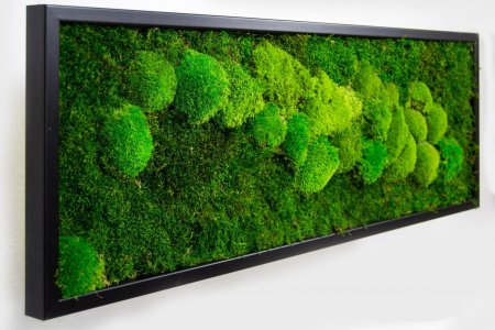 Настенное панно из мха