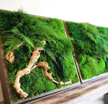 Панно из мха