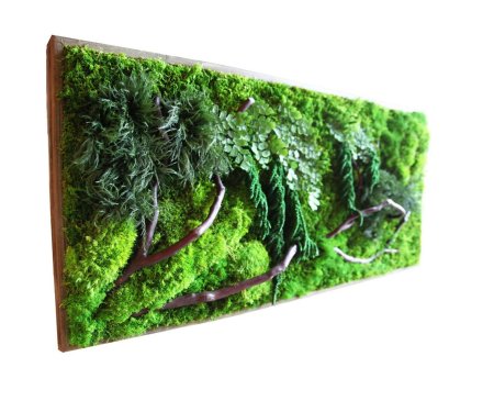 Фитокартина из стабилизированного мха
